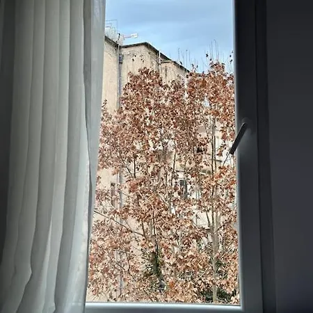 Cozy In Tirana